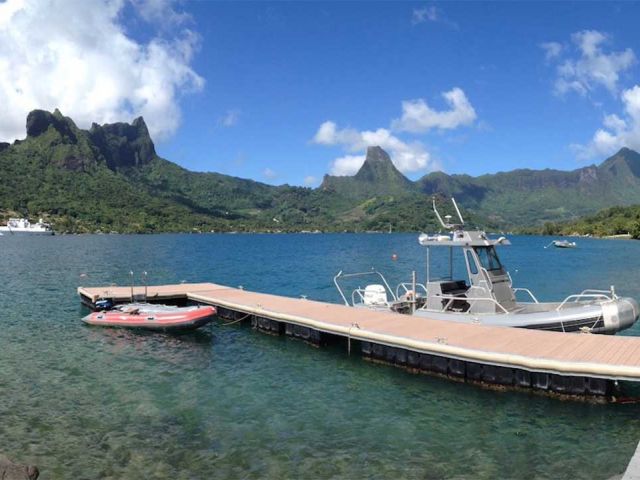 Microbial Ecology and Coral Reefs