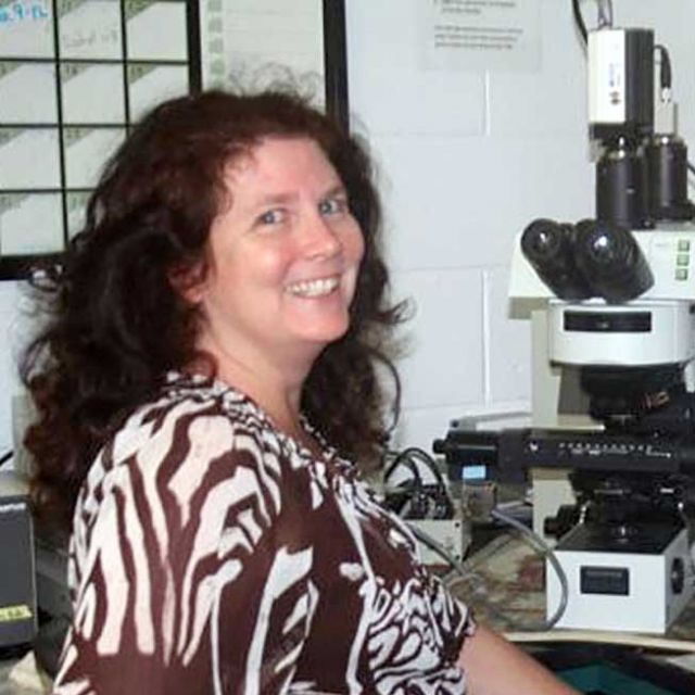 Photo of Rachel Parsons